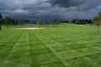 field.jpg