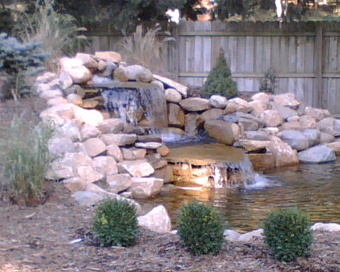 pond.jpg