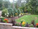 shrubs.jpg